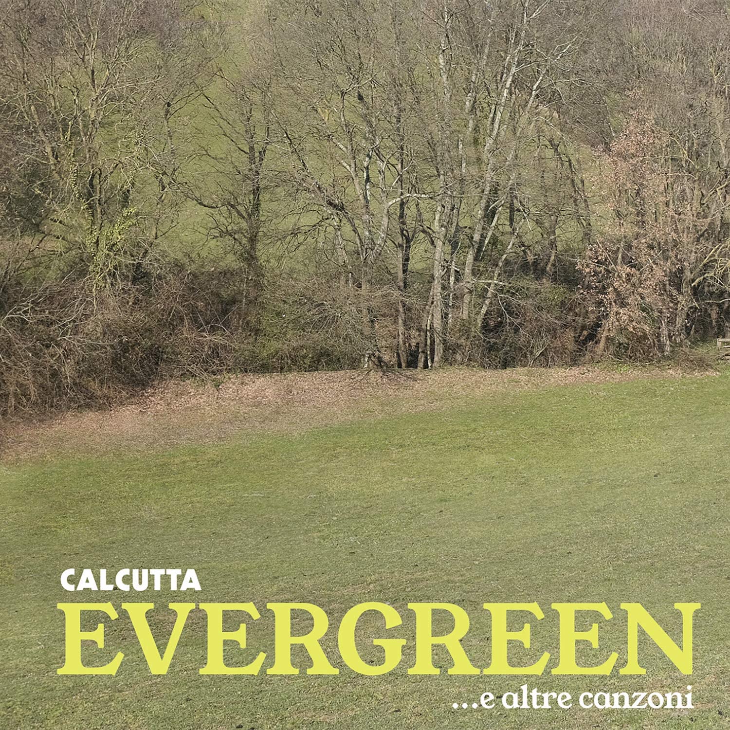 Evergreen - LP 