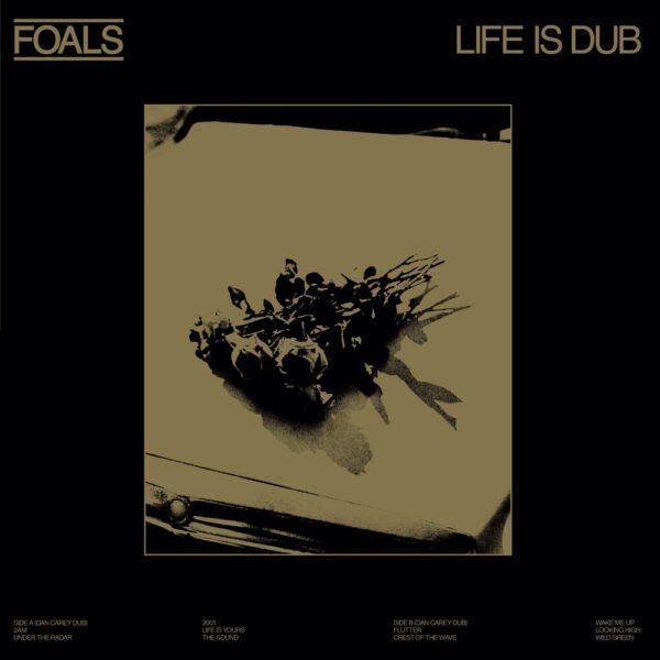 life-is-dub-foals-copertina