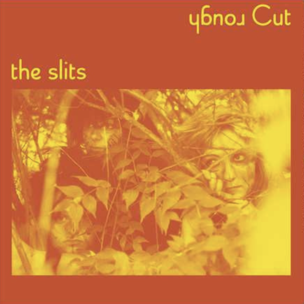 rough-cut-the-slits-copertina